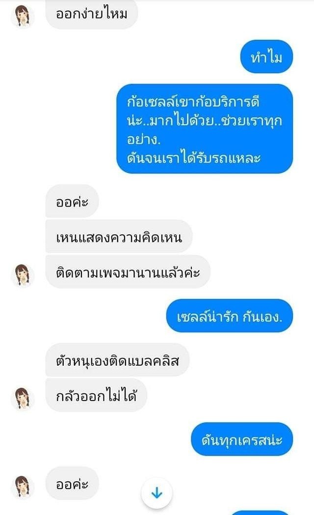 รีวิว 31